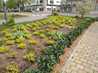  plantations
